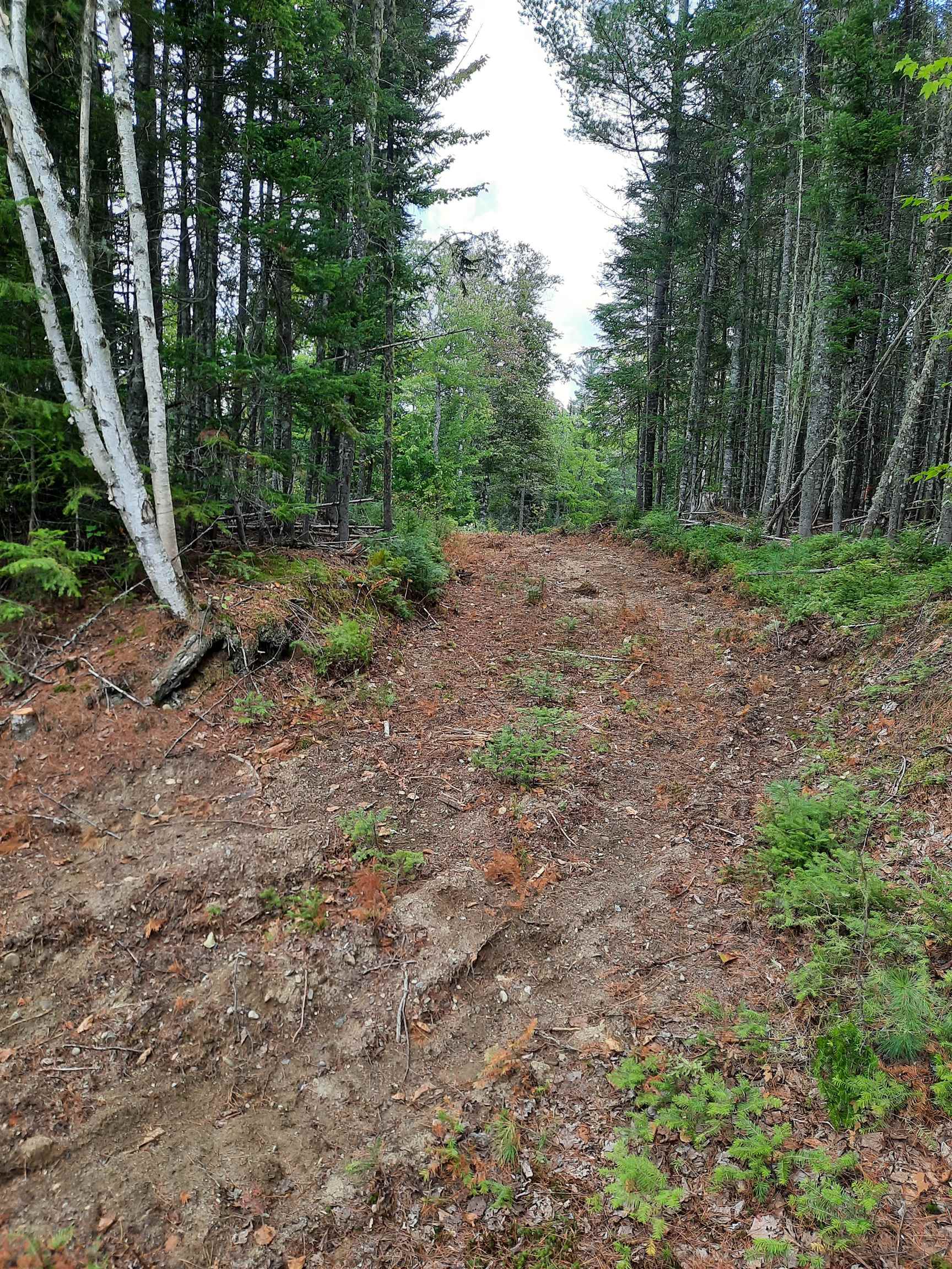 Stump Road Errol, NH 03579 - Photo 5 of 24 Gallery Image 5