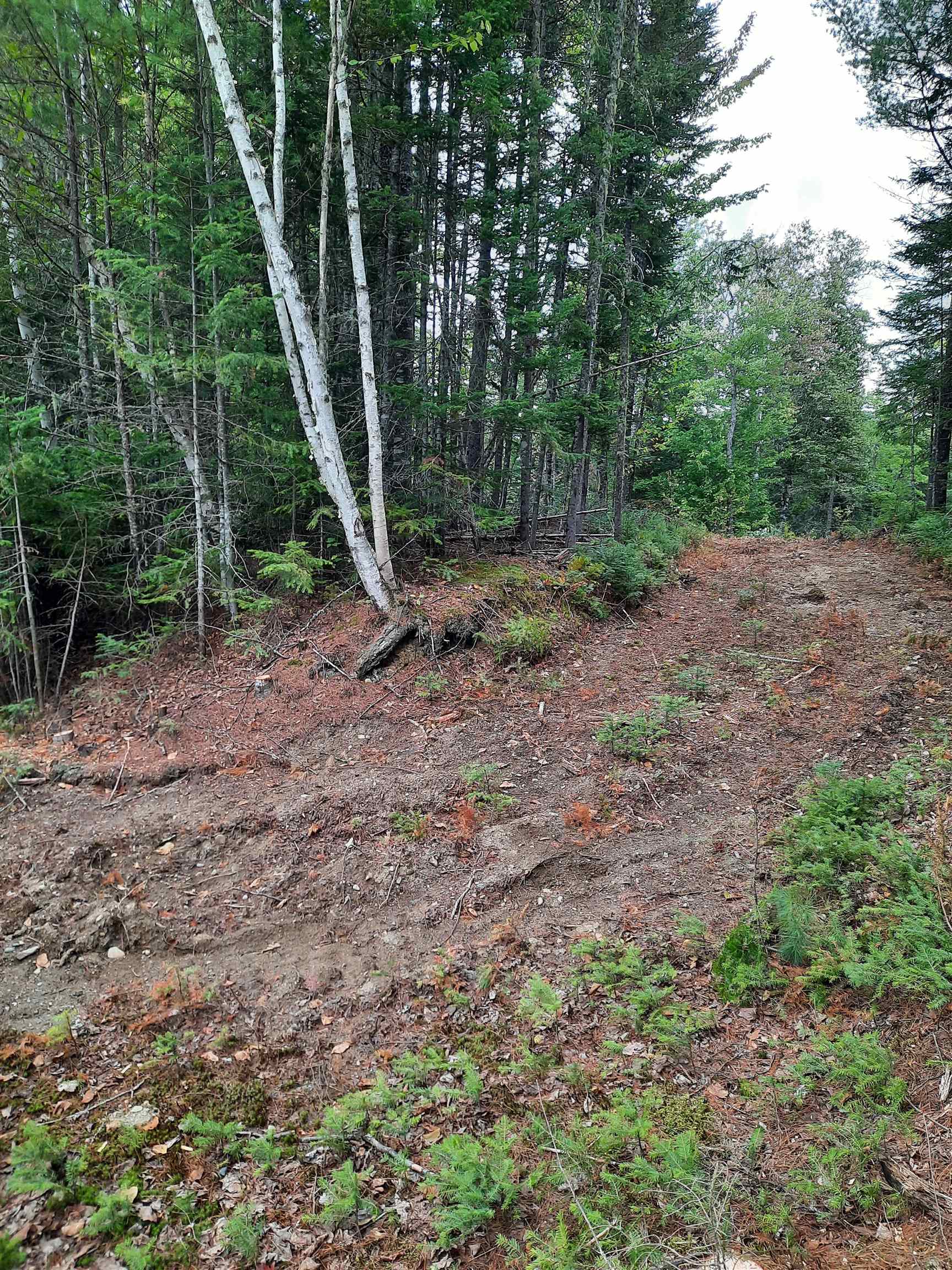 Stump Road Errol, NH 03579 - Photo 6 of 24 Gallery Image 6