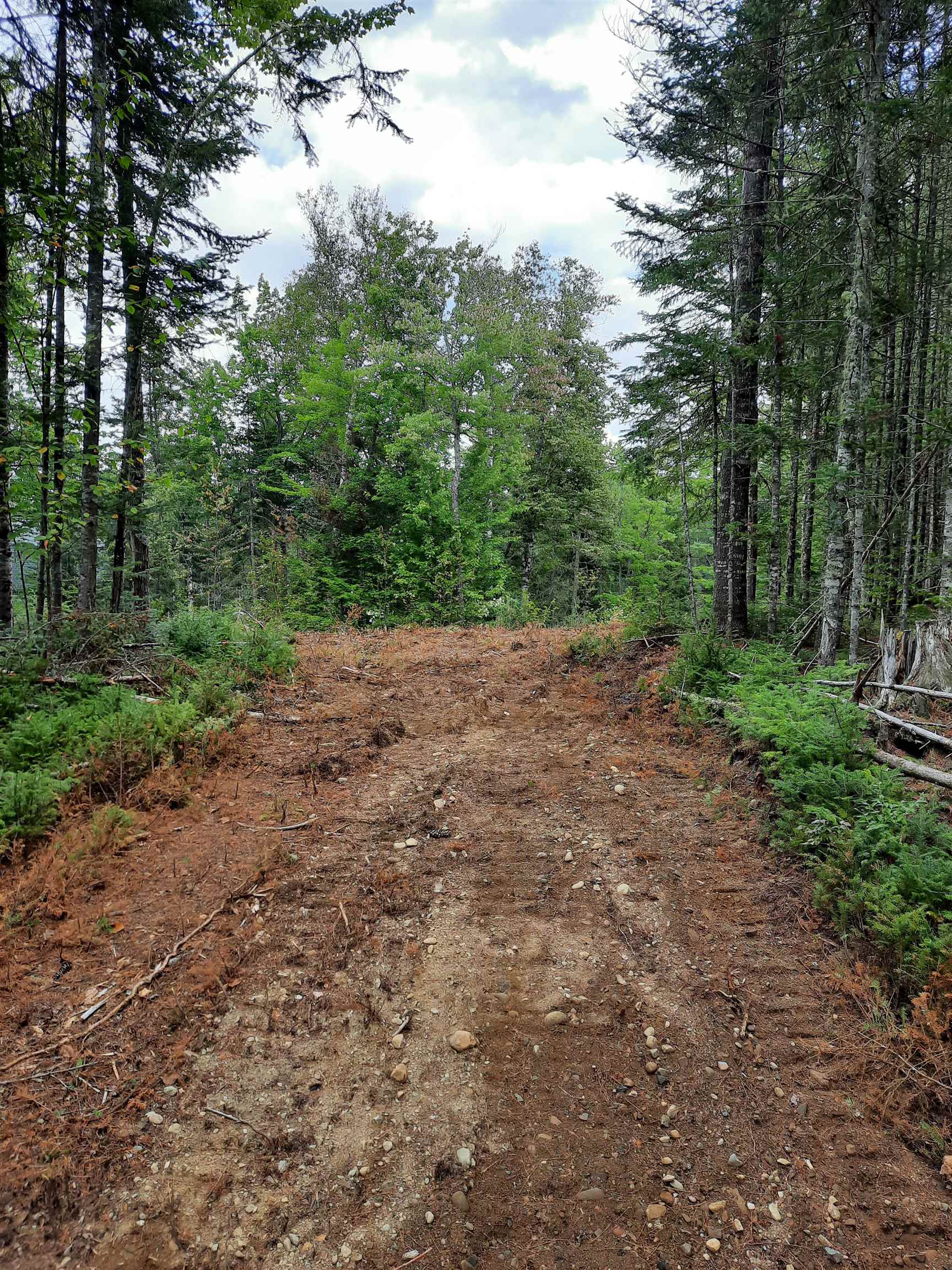 Stump Road Errol, NH 03579 - Photo 7 of 24 Gallery Image 7