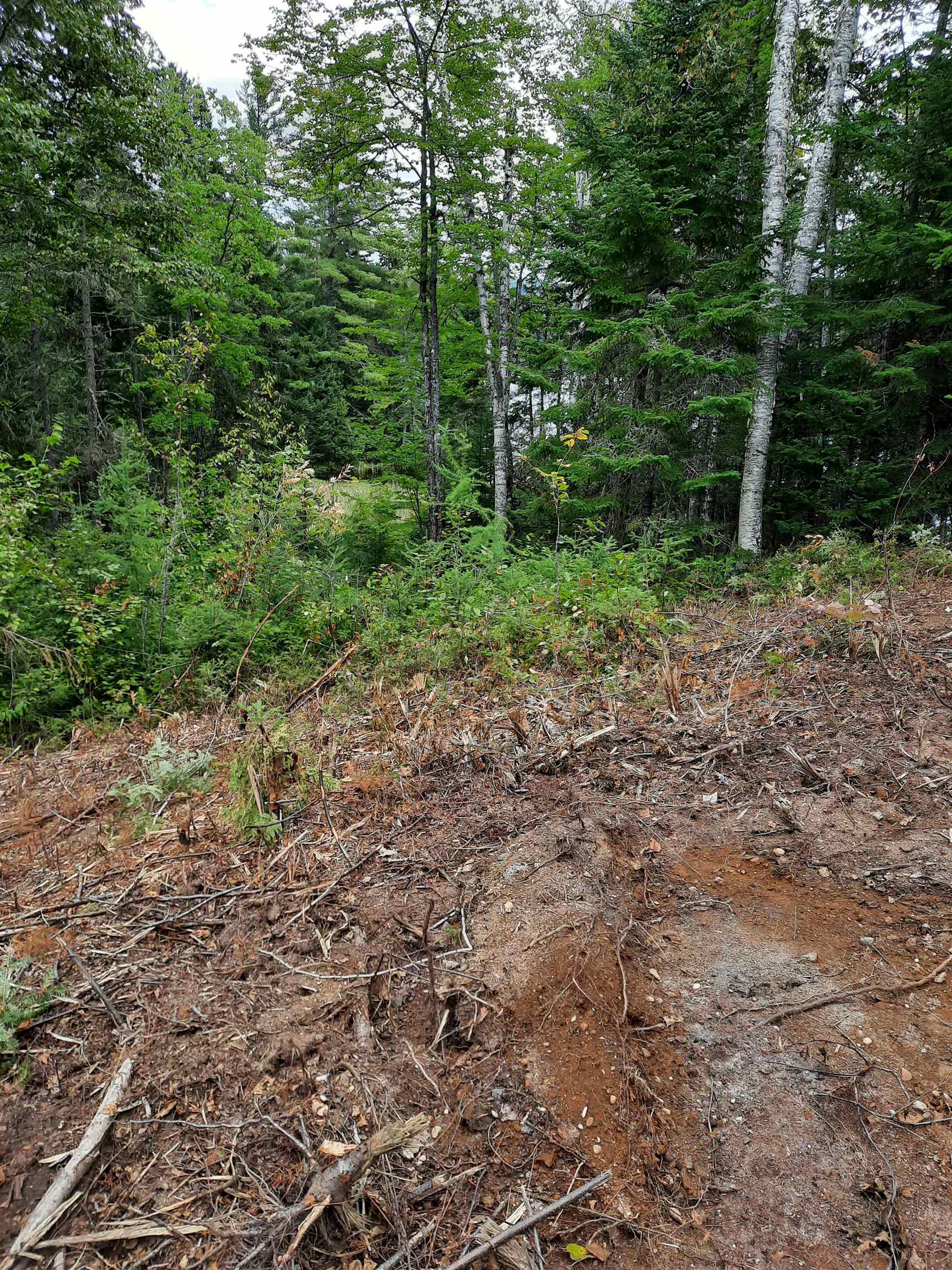 Stump Road Errol, NH 03579 - Photo 8 of 24 Gallery Image 8