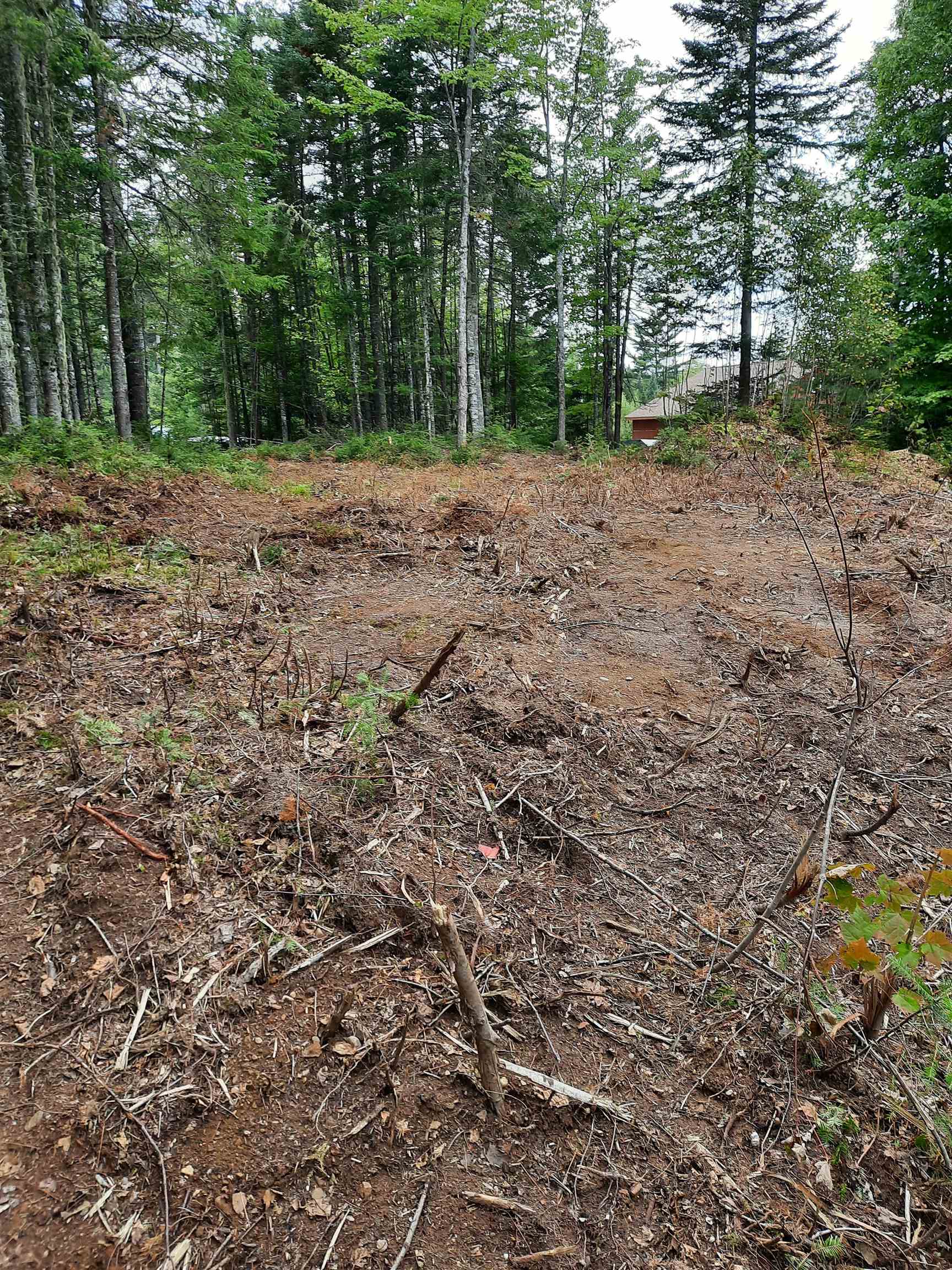 Stump Road Errol, NH 03579 - Photo 10 of 24 Gallery Image 10