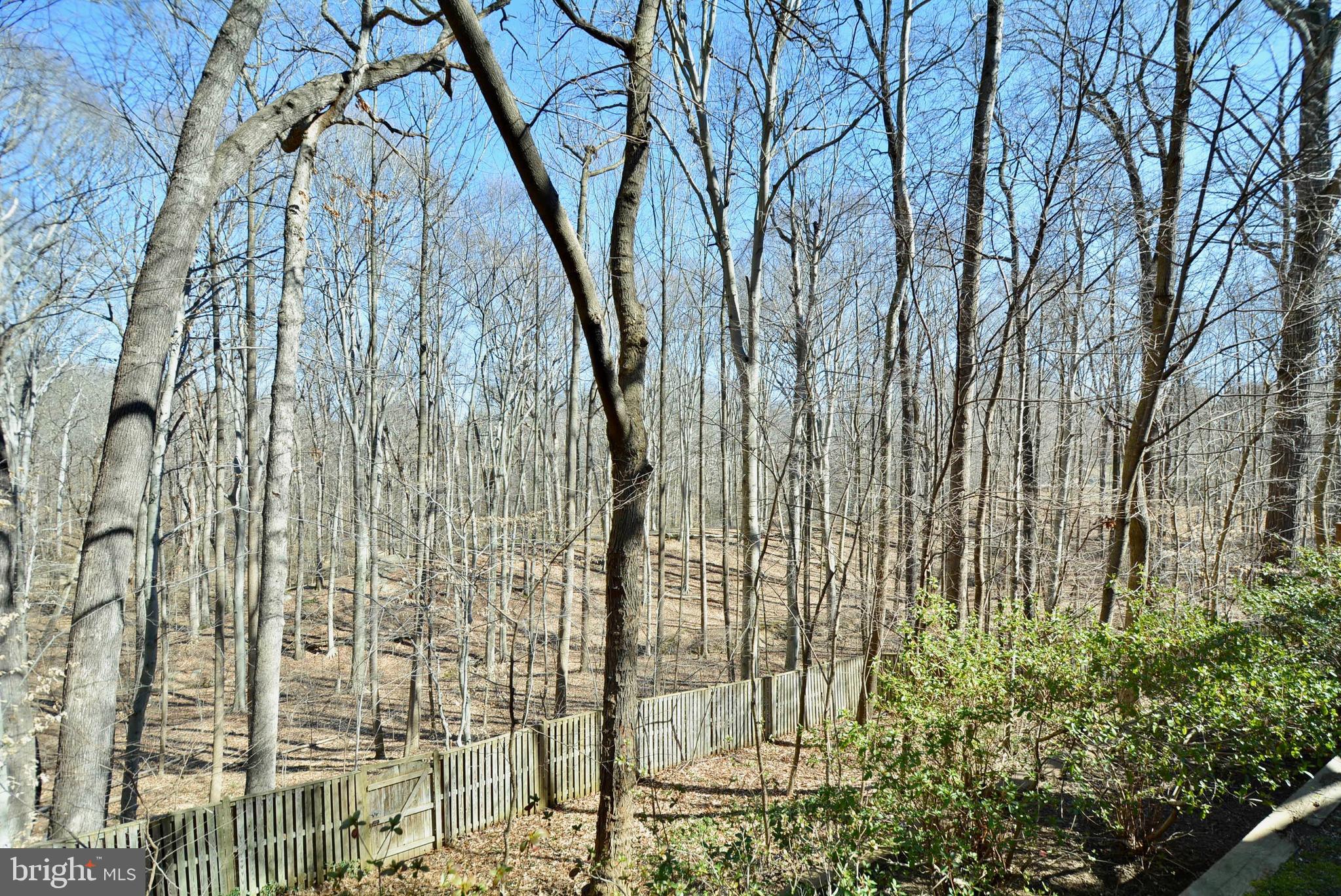 7121 Dryburgh Court Springfield, VA 22152 - Photo 22 of 37 View from back patio