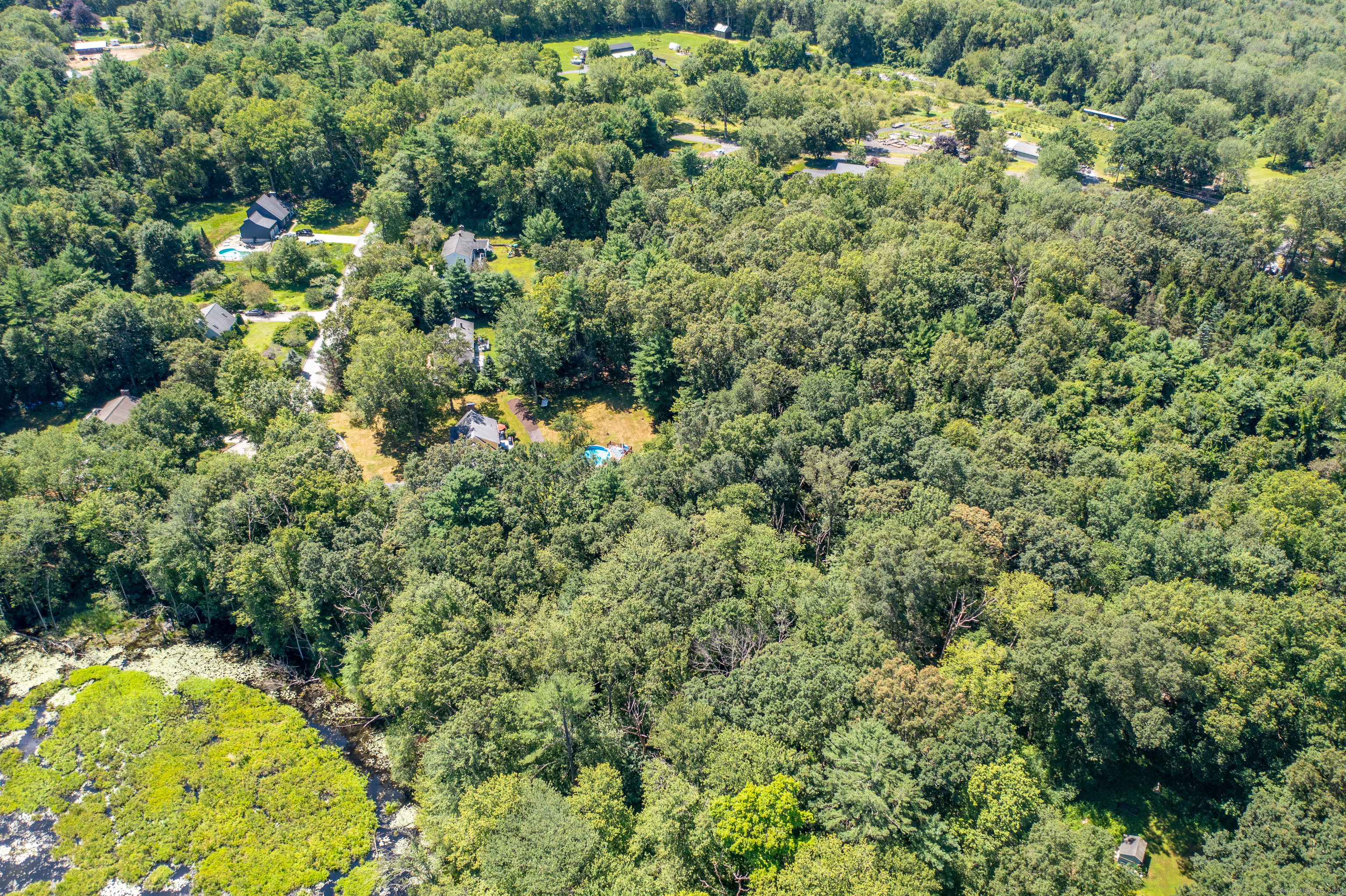 a view of a forest with a houses