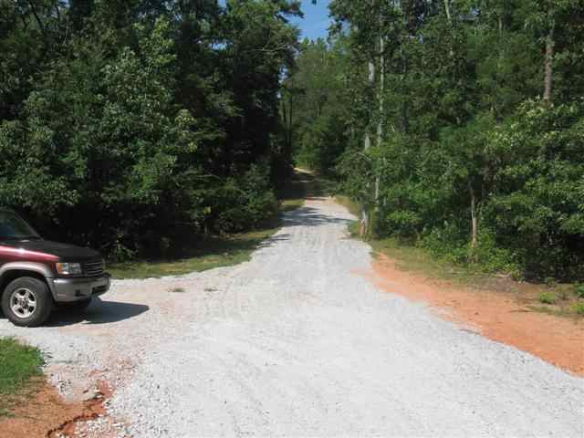 154 Walkers Hill Road Pelzer, SC 29669 - Photo 5 of 10