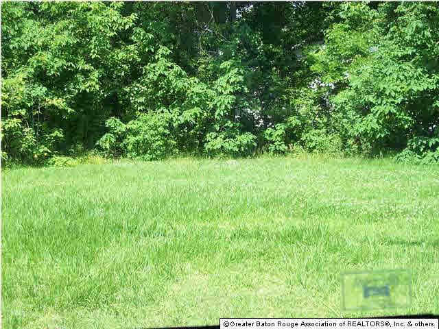 0 Madison Avenue Baton Rouge, LA 70802 - Photo 1 of 2 Gallery Image 1