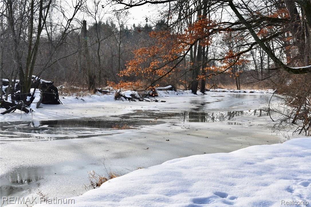 South Branch Shiawassee River frontage
