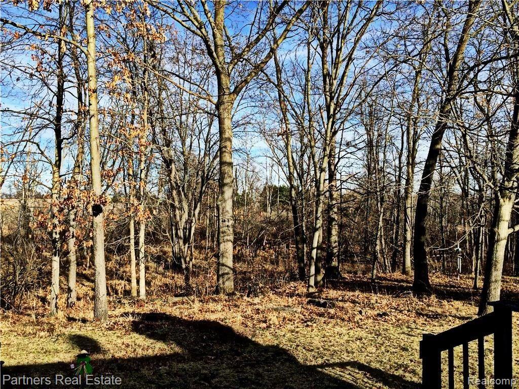 8238 Zeeb Rd Acreage 4.jpg