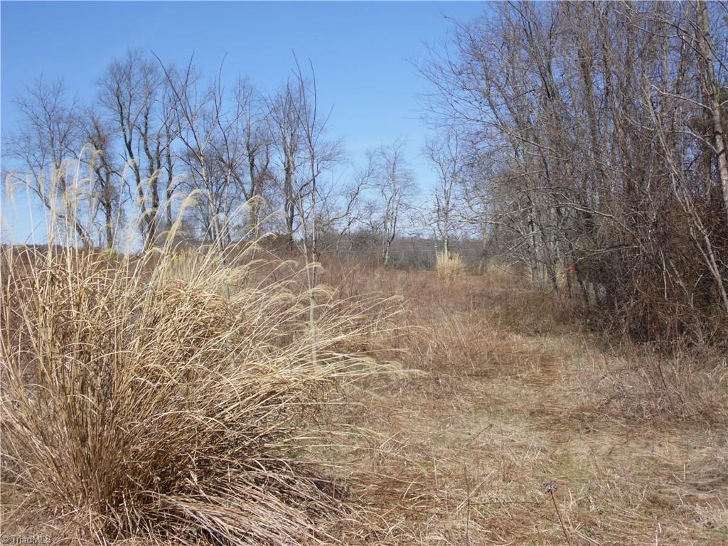 Tbd B Brown Road Sparta, NC 28675 - Photo 15 of 21 Gallery Image 15