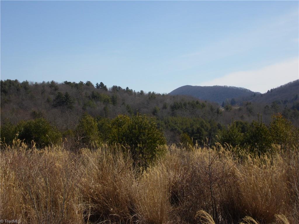 Tbd B Brown Road Sparta, NC 28675 - Photo 2 of 21 Gallery Image 2