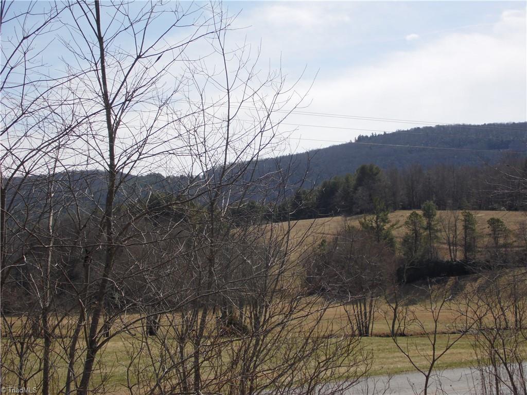 Tbd B Brown Road Sparta, NC 28675 - Photo 3 of 21 Gallery Image 3