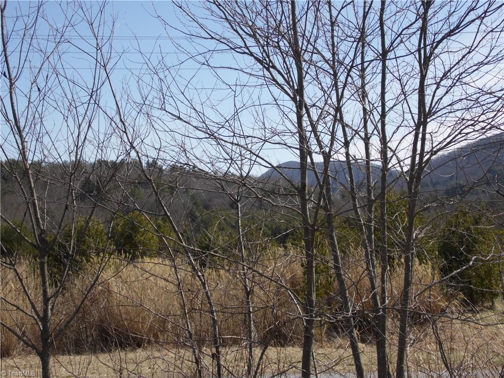 Tbd B Brown Road Sparta, NC 28675 - Photo 5 of 21 Gallery Image 5