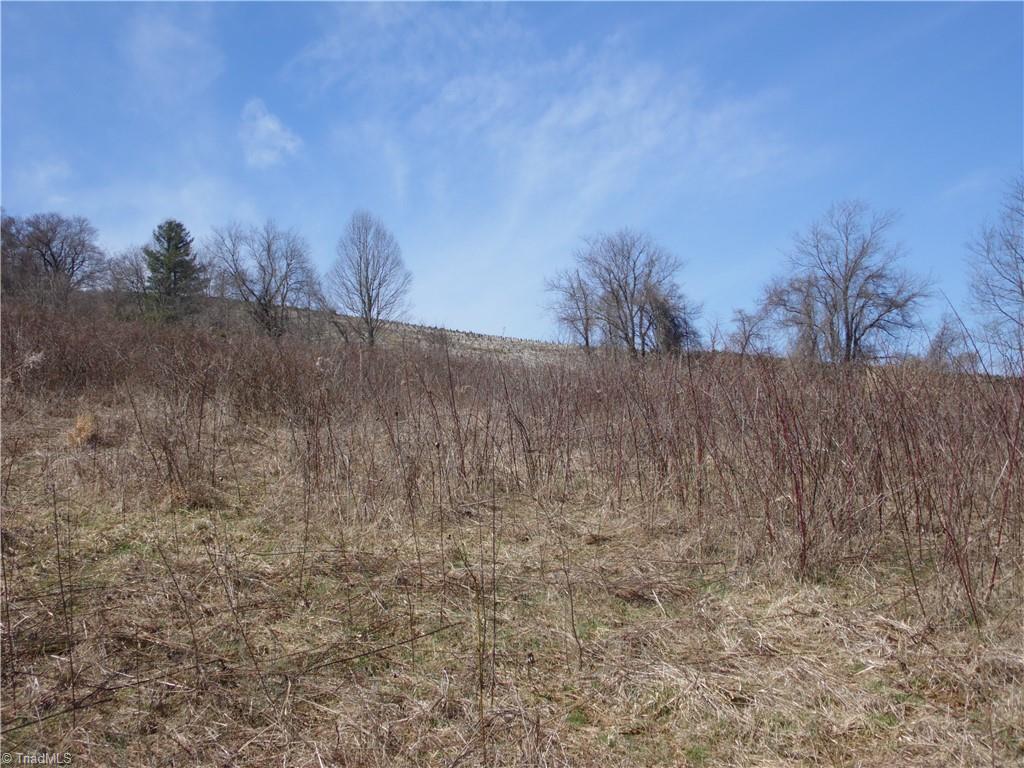 Tbd B Brown Road Sparta, NC 28675 - Photo 6 of 21 Gallery Image 6
