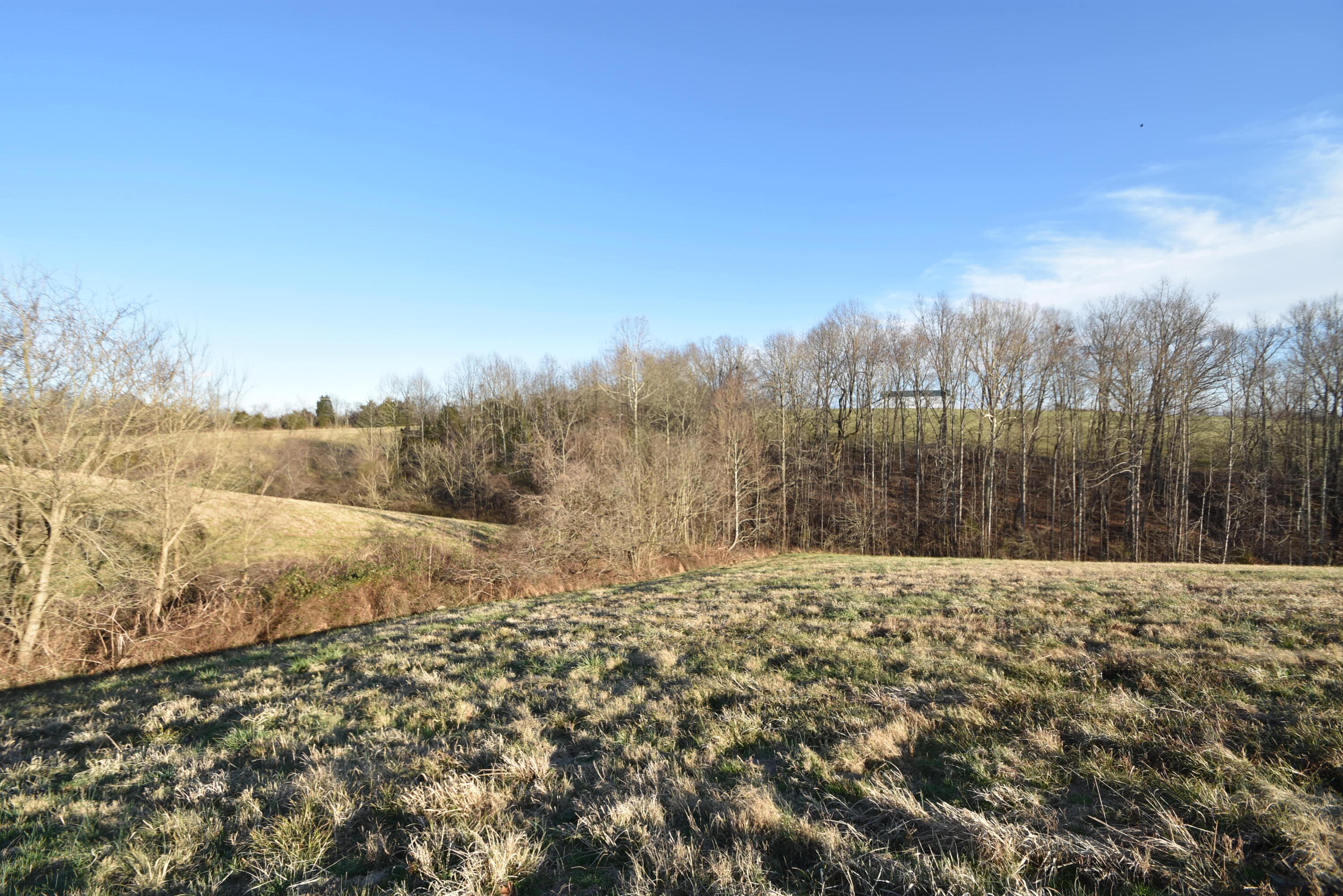 741 Chaplin Road, Unit 2 Willisburg, KY 40078 - Photo 14 of 20 014