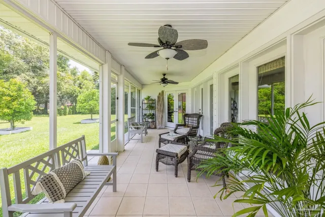 a view of a park with large trees