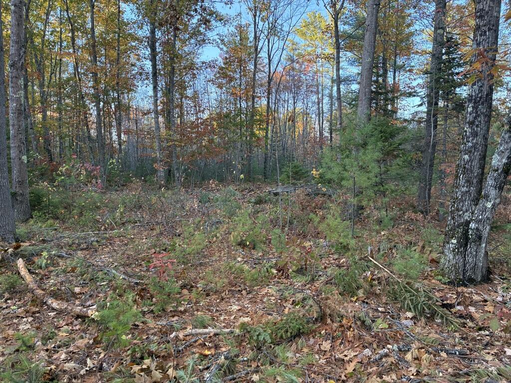 Lot 16-2) Lot 16-2) Whittier Road Farmington, ME 04938 - Photo 1 of 8 Lot2Ground2