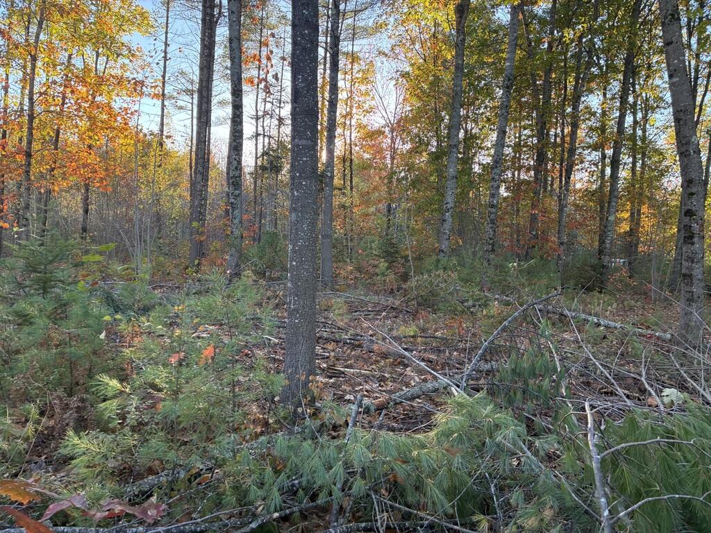 Lot 16-2) Lot 16-2) Whittier Road Farmington, ME 04938 - Photo 5 of 8 Lot2Ground4