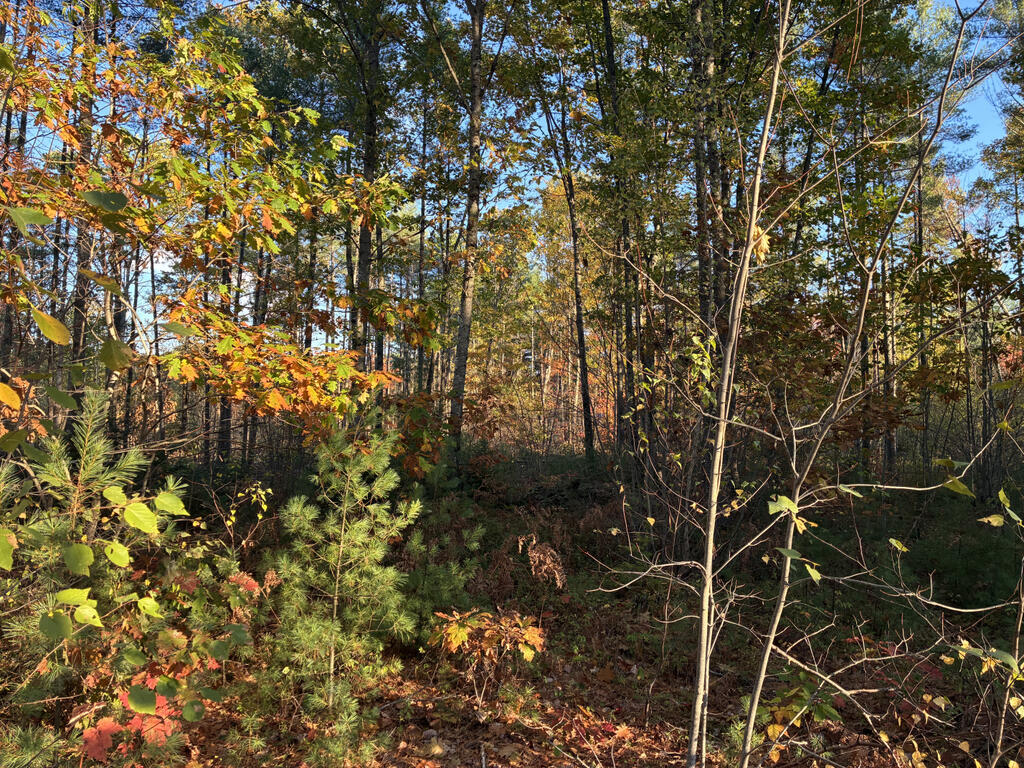 Lot 16-2) Lot 16-2) Whittier Road Farmington, ME 04938 - Photo 6 of 8 Lot2Ground5