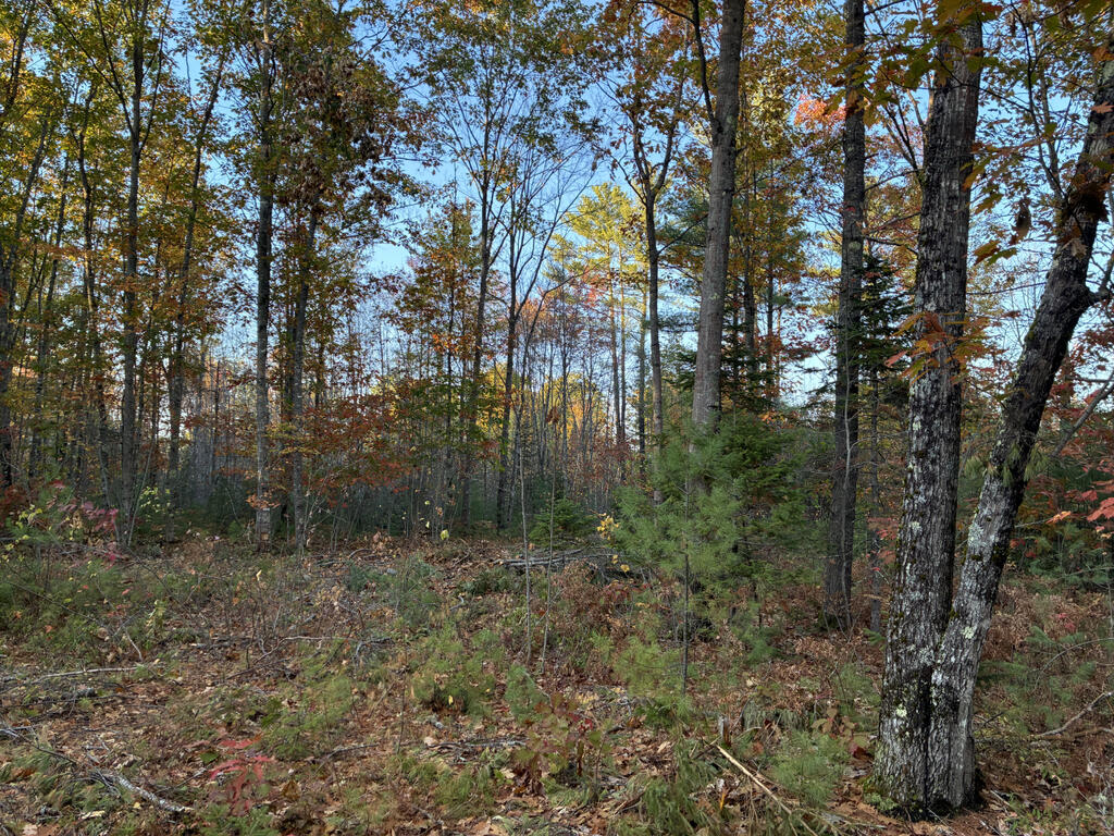 Lot 16-2) Lot 16-2) Whittier Road Farmington, ME 04938 - Photo 7 of 8 Lot2Ground1