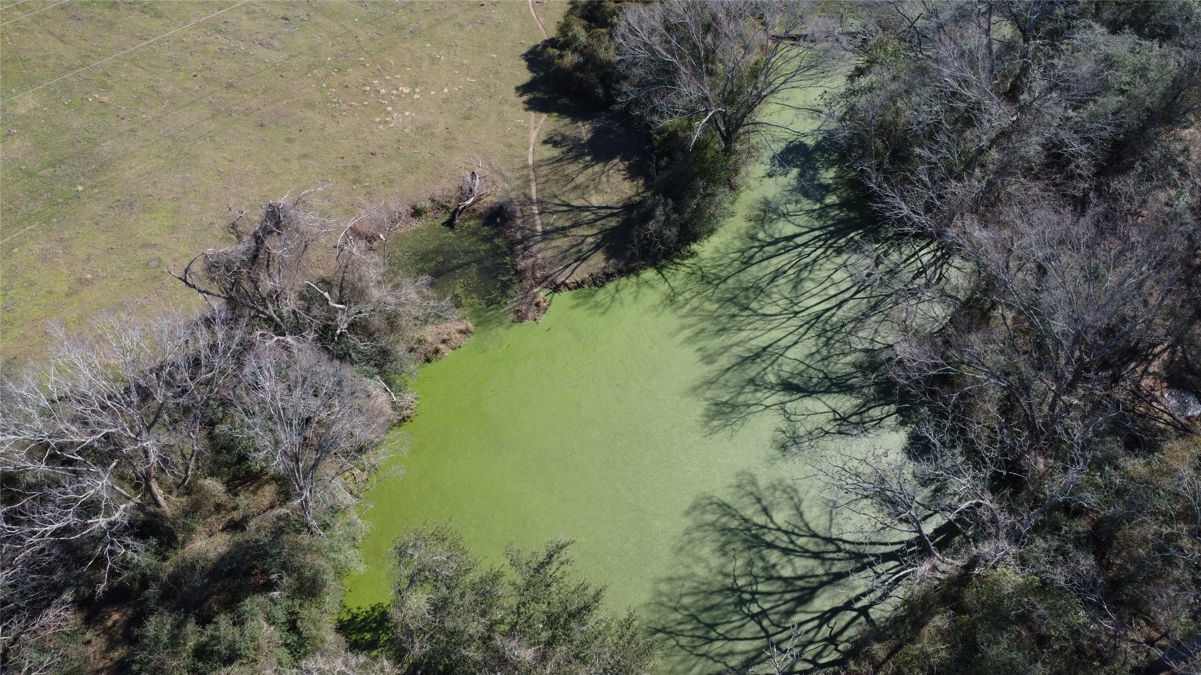 13403 Fm 359 Hempstead, TX 77445 - Photo 7 of 11 a view of a lake with a forest