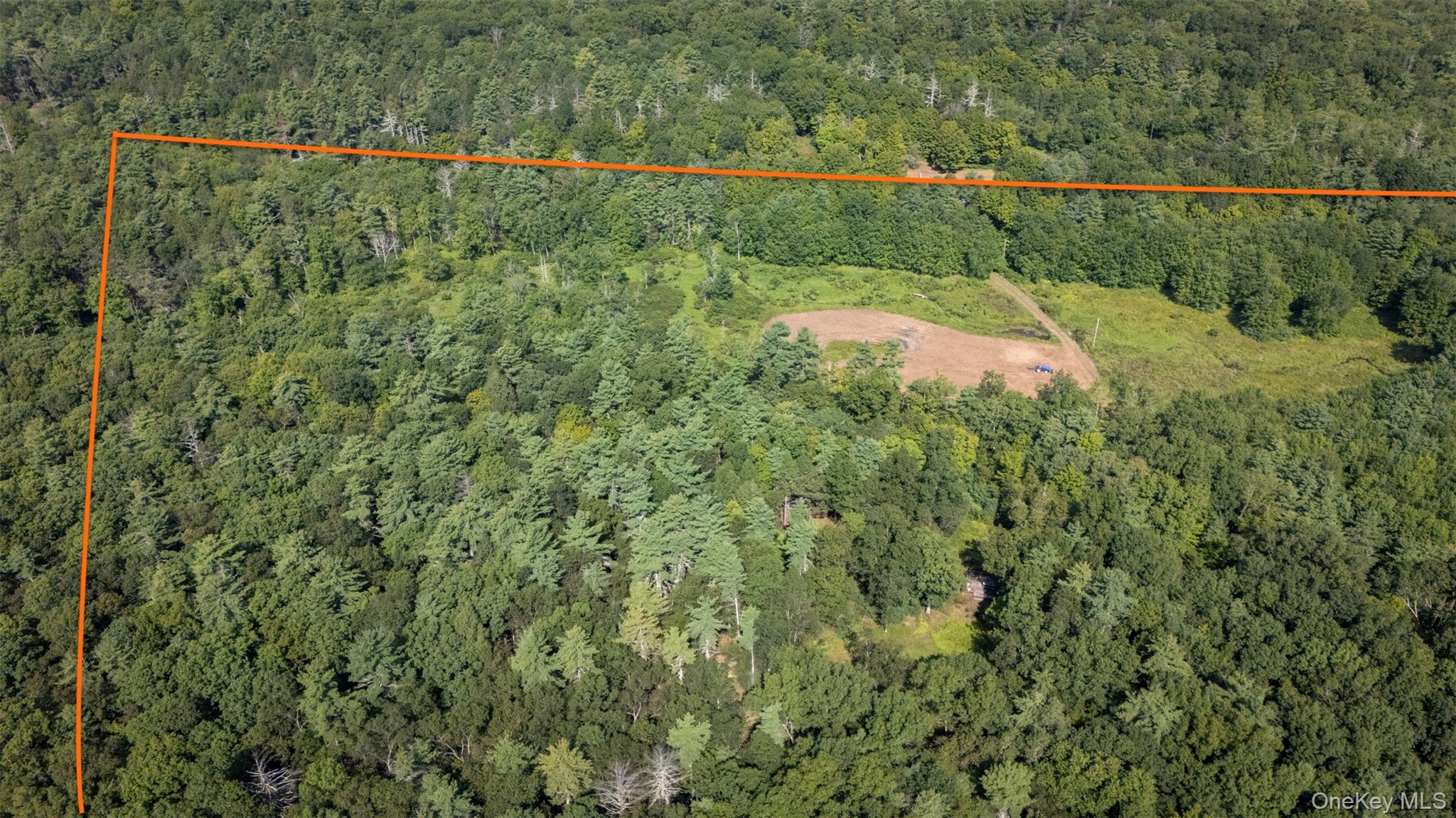 327 Phillips Road Saugerties, NY 12477 - Photo 19 of 24 Aerial view of property and surrounding area featuring property boundaries highlighted and a heavily wooded area