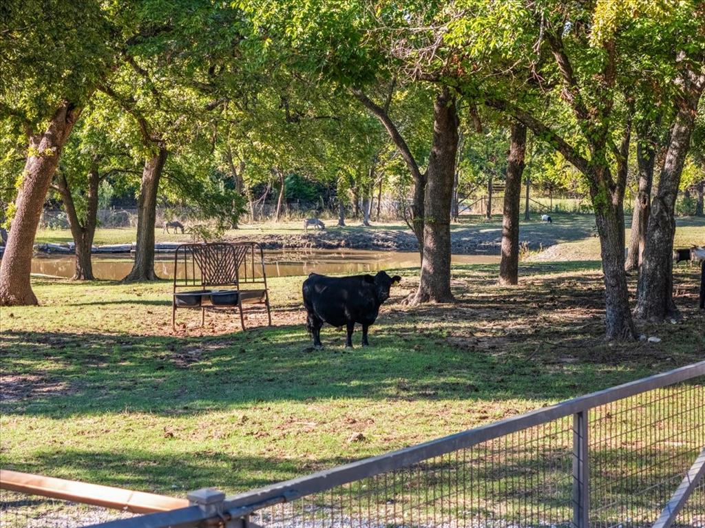 2405 Cold Springs Road Weatherford, TX 76088 - Photo 34 of 40 Gallery Image 34