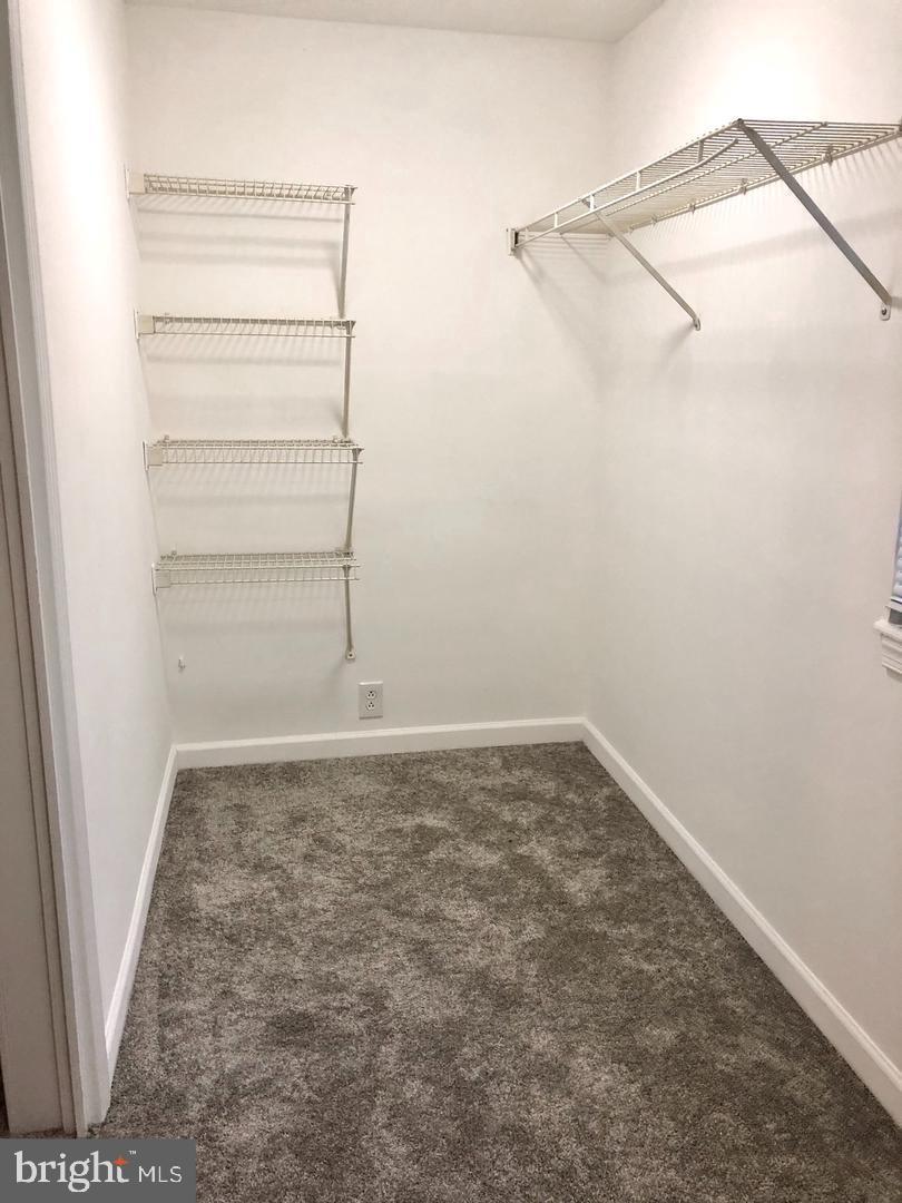 114 River Road Edgewater, MD 21037 - Photo 17 of 33 Primary Suite w/ walk in