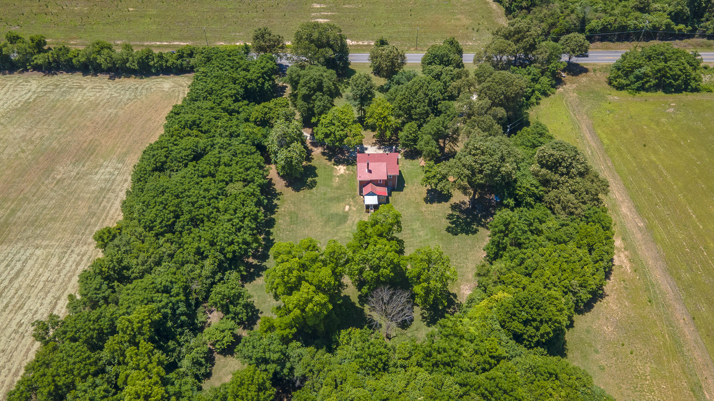 357 Williston Road Beech Island, SC 29842 - Photo 3 of 79