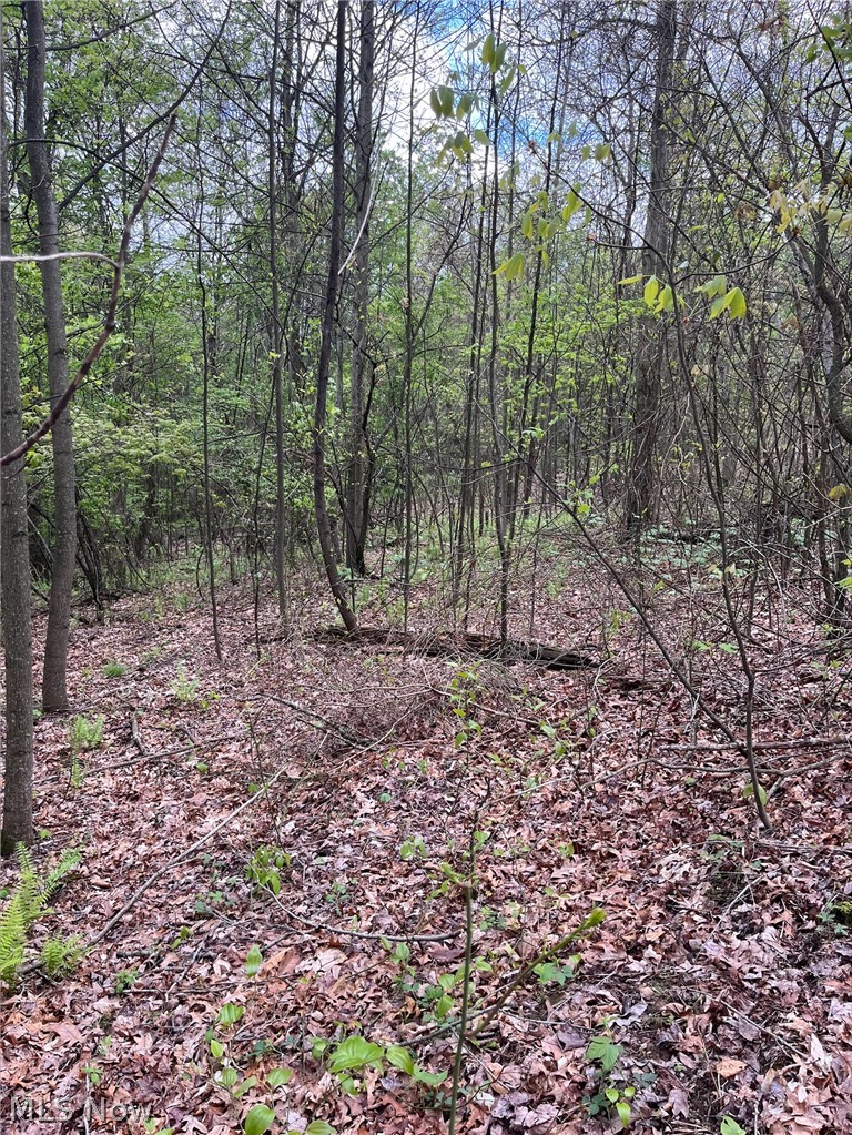 Sandy Ridge Road Tippecanoe, OH 44699 - Photo 2 of 21