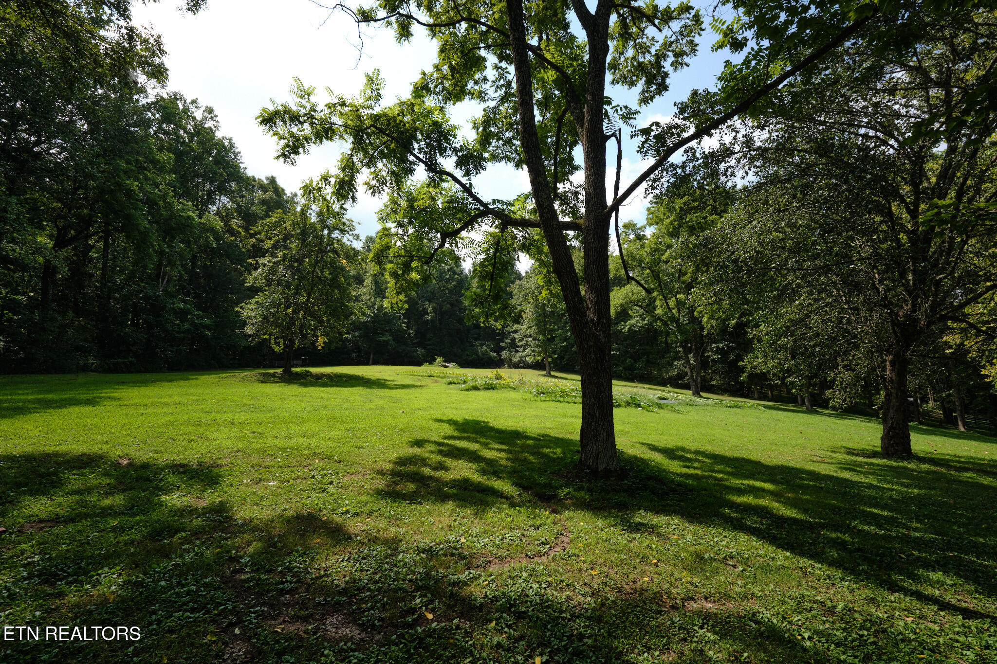 3824 Sugar Grove Valley Road Harriman, TN 37748 - Photo 40 of 51 3824 Sugar Grove Valley Rd 38