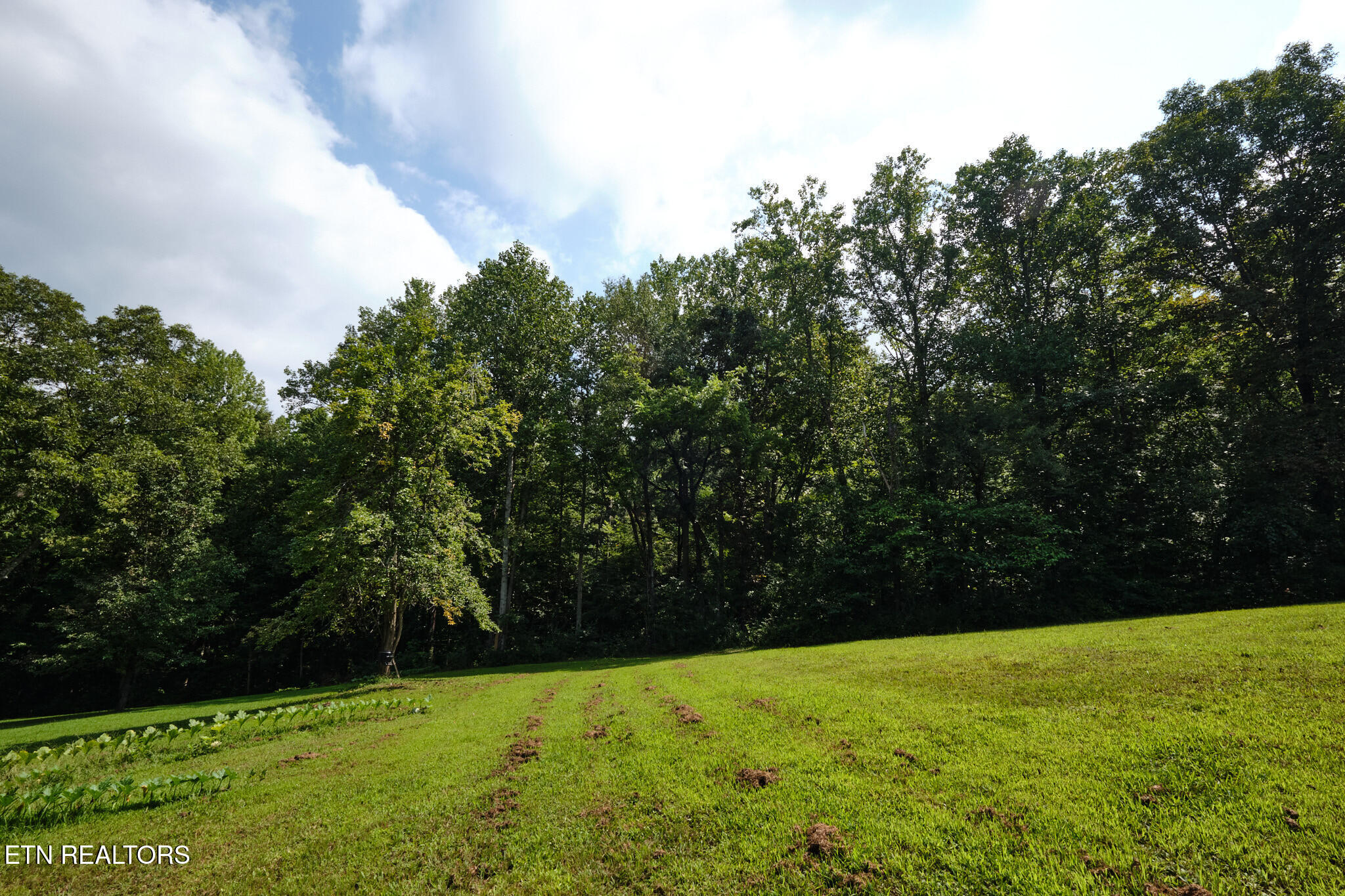 3824 Sugar Grove Valley Road Harriman, TN 37748 - Photo 4 of 51 3824 Sugar Grove Valley Rd 40