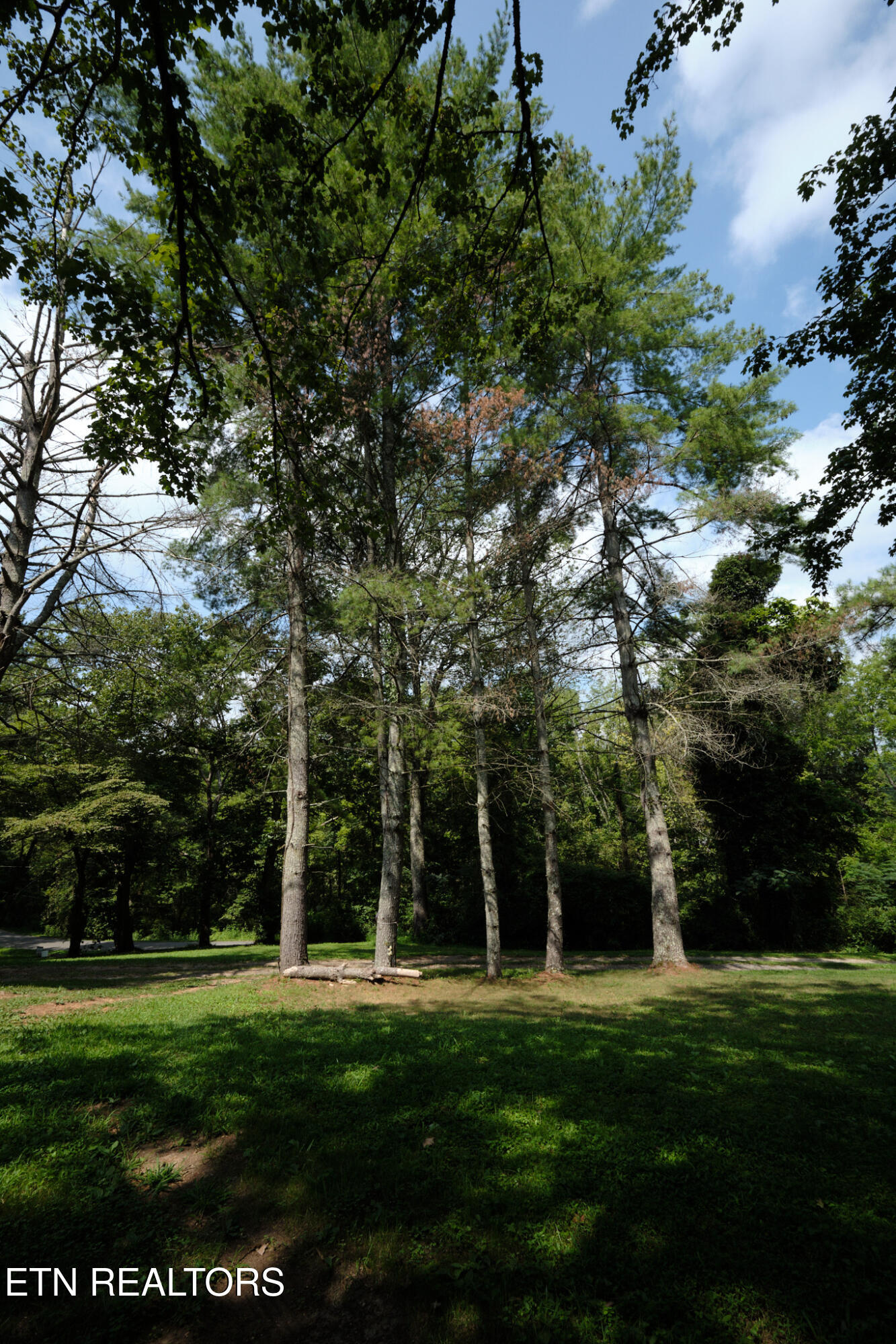 3824 Sugar Grove Valley Road Harriman, TN 37748 - Photo 45 of 51 3824 Sugar Grove Valley Rd 46