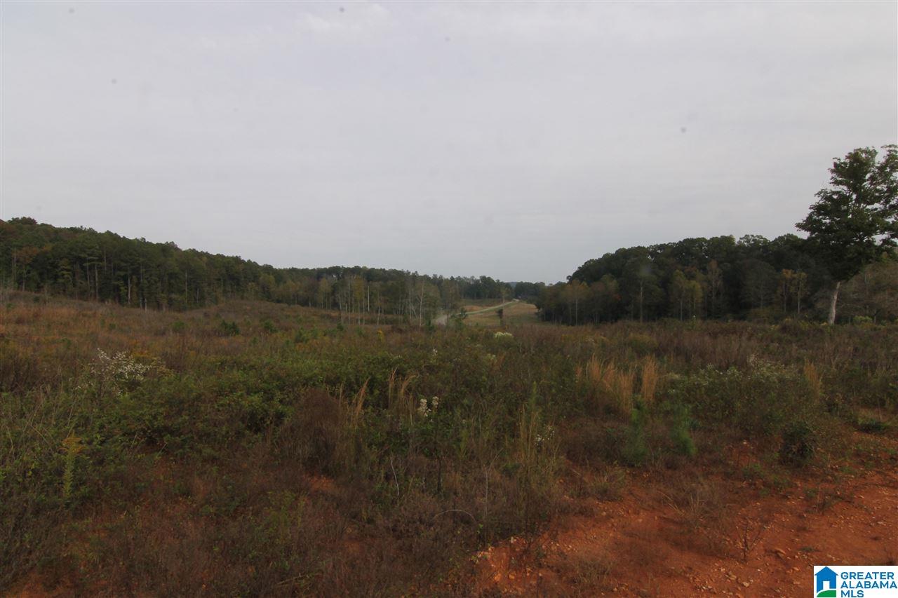 6317 County Road 10, Unit 60 Heflin, AL 36264 - Photo 5 of 6