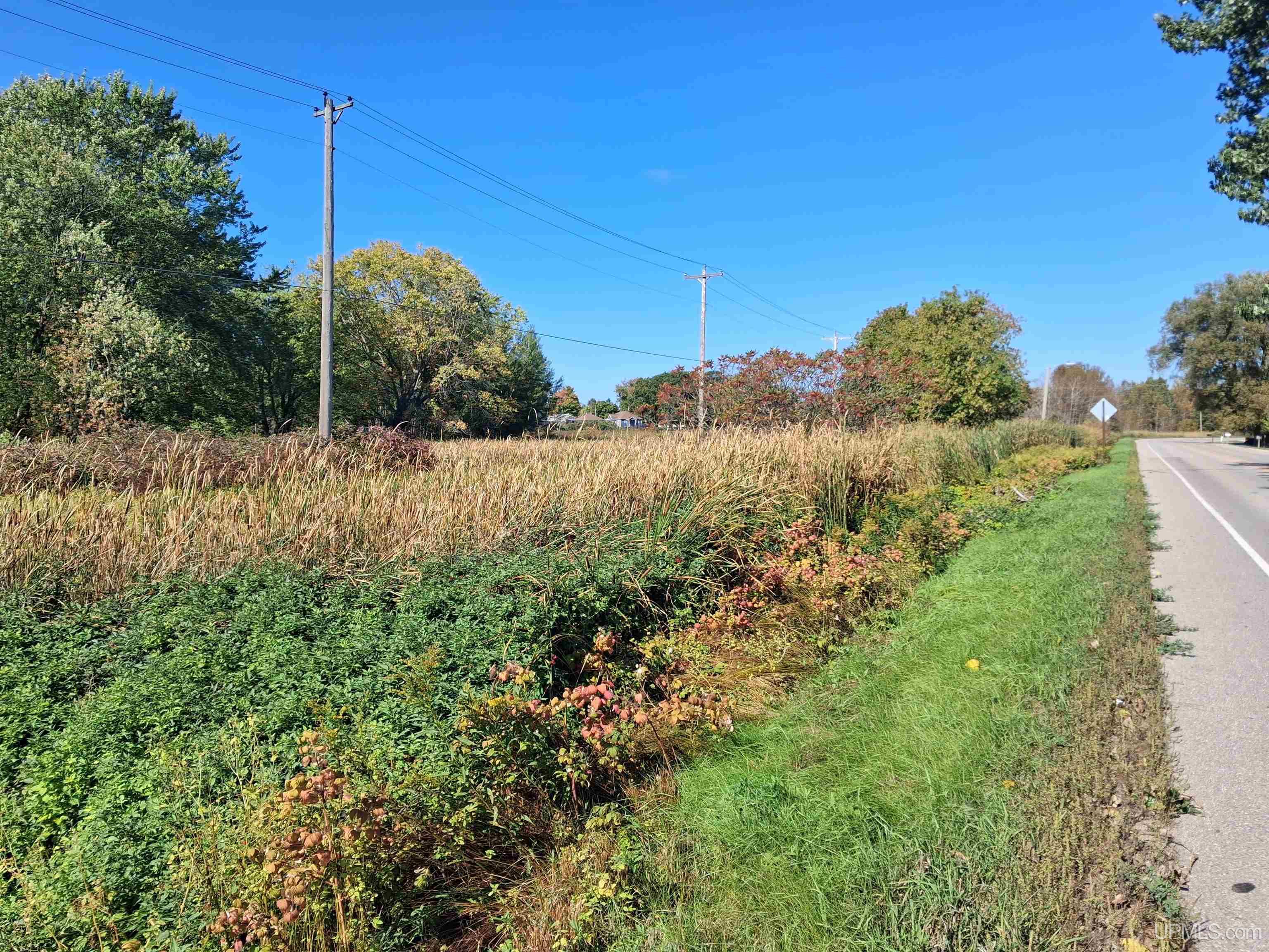 North 3rd Street, Unit N 3 Wells, MI 49894 - Photo 2 of 7