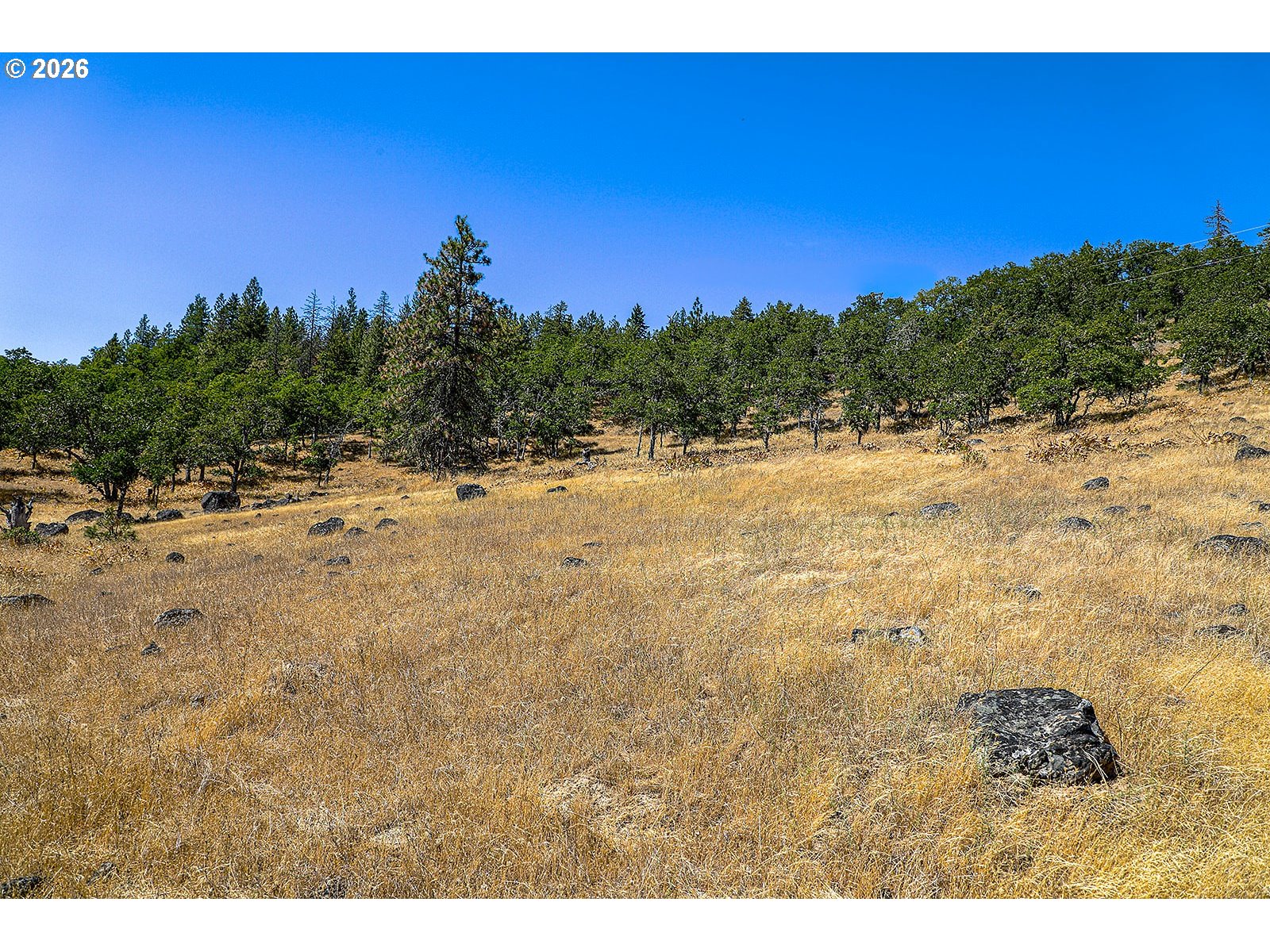 2300 Dry Creek Road Mosier, OR 97040 - Photo 8 of 34