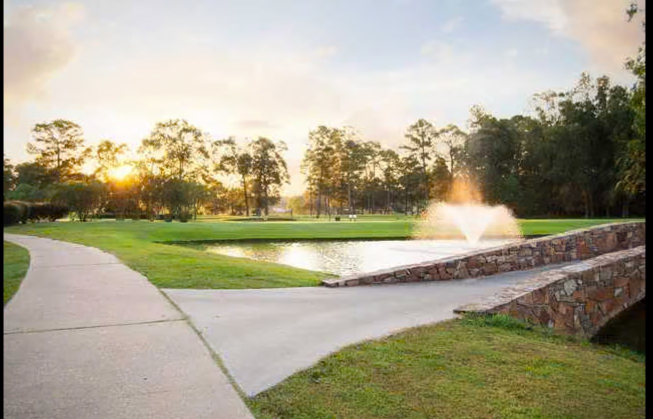 2023 Foxtail Crk Court Crosby, TX 77532 - Photo 18 of 22 a view of a yard with large trees
