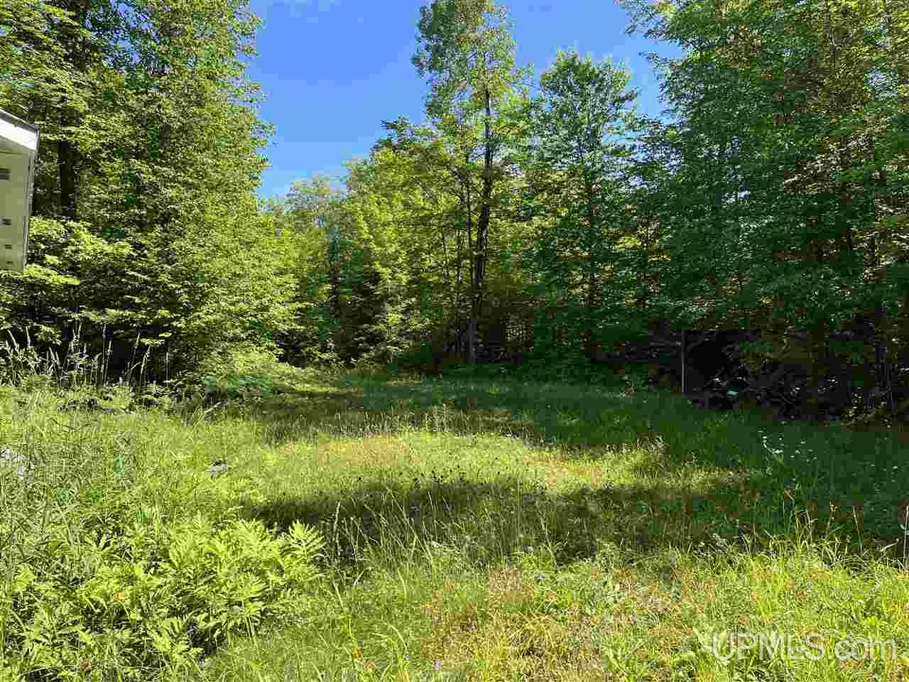 Tbd Off Bergslien Road Ironwood, MI 49938 - Photo 7 of 10