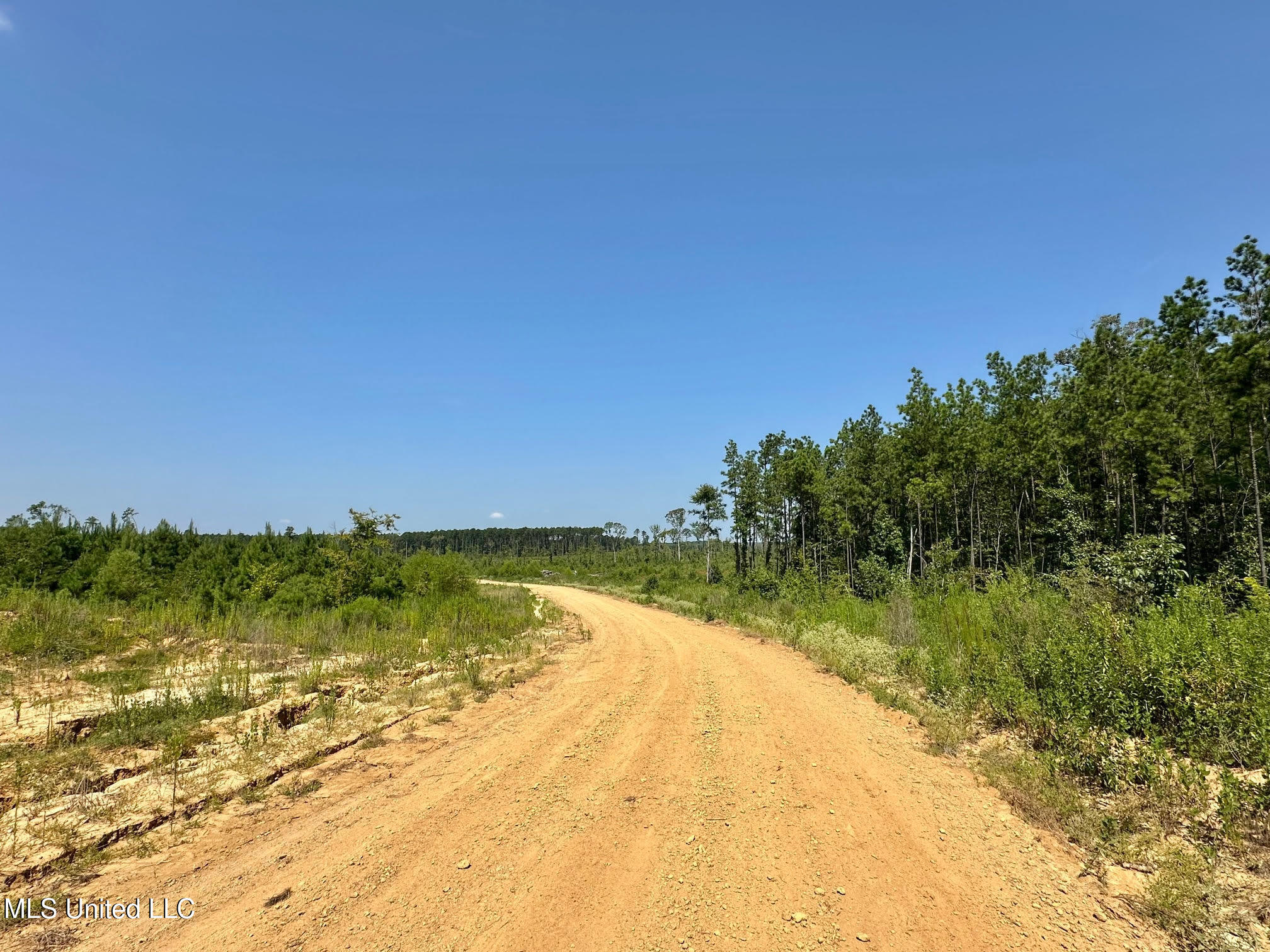 2 Highway 25 Fulton, MS 38843 - Photo 13 of 41 104