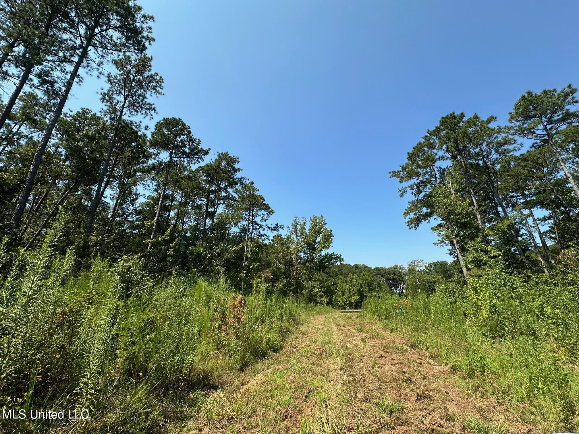 2 Highway 25 Fulton, MS 38843 - Photo 20 of 41 111