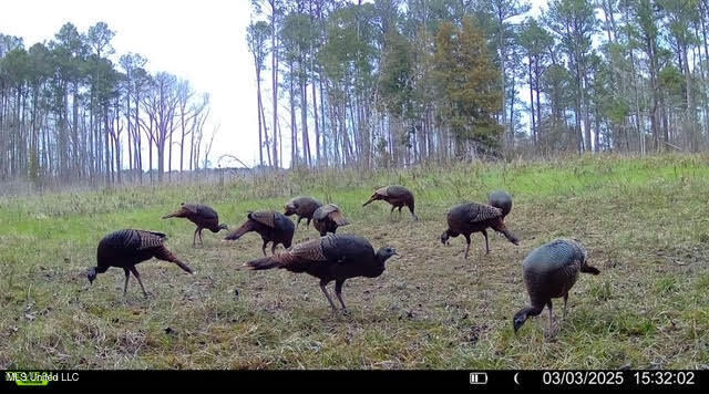 2 Highway 25 Fulton, MS 38843 - Photo 8 of 41 42