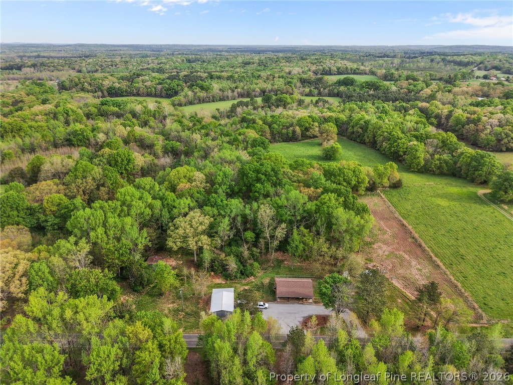 186 Lewis Brown Road Bennett, NC 27208 - Photo 39 of 48