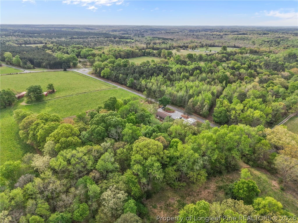 186 Lewis Brown Road Bennett, NC 27208 - Photo 42 of 48