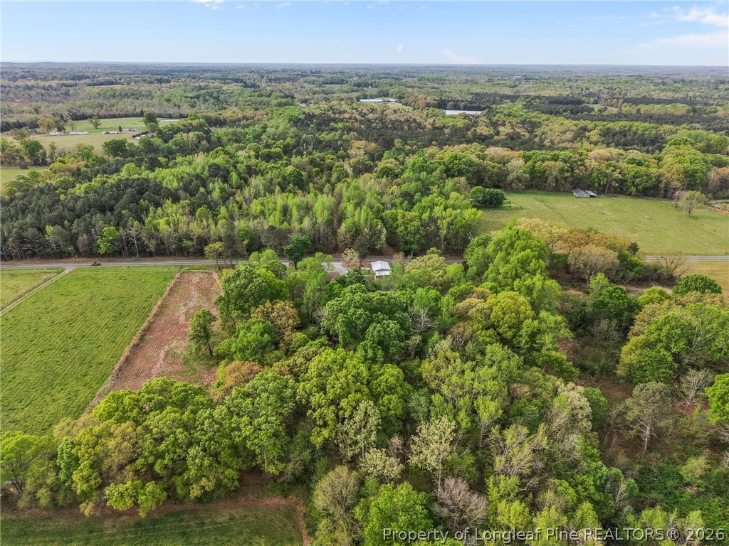 186 Lewis Brown Road Bennett, NC 27208 - Photo 43 of 48