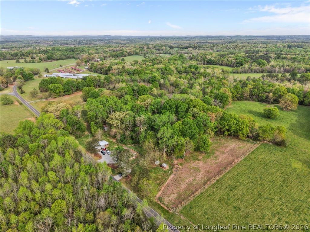 186 Lewis Brown Road Bennett, NC 27208 - Photo 46 of 48