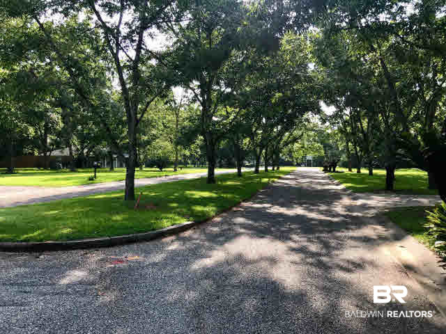 0 Cape Fear Boulevard Foley, AL 36535 - Photo 5 of 15 looking to the end of the road to the cul-de-sac - Beautiful trees throughout the entire neighborhood