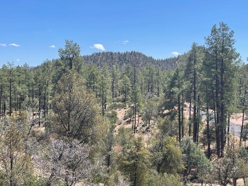 3005 East Arrow Point Payson, AZ 85541 - Photo 2 of 11 a view of a house with a mountain in the background