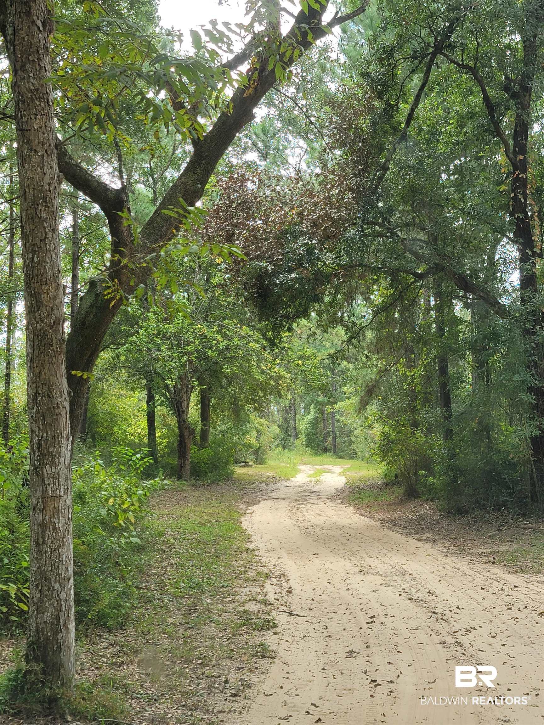 17505 Hansel Hodges Road Elberta, AL 36530 - Photo 1 of 7
