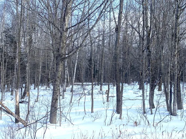 $107,000 | 47 Greenville Road, Unit LOT 2, Shirley, ME 04485