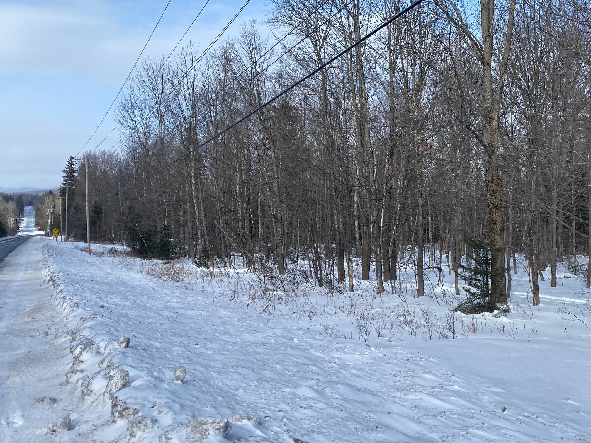 47 Greenville Road, Unit LOT 2 Shirley, ME 04485 - Photo 7 of 9 IMG_4877