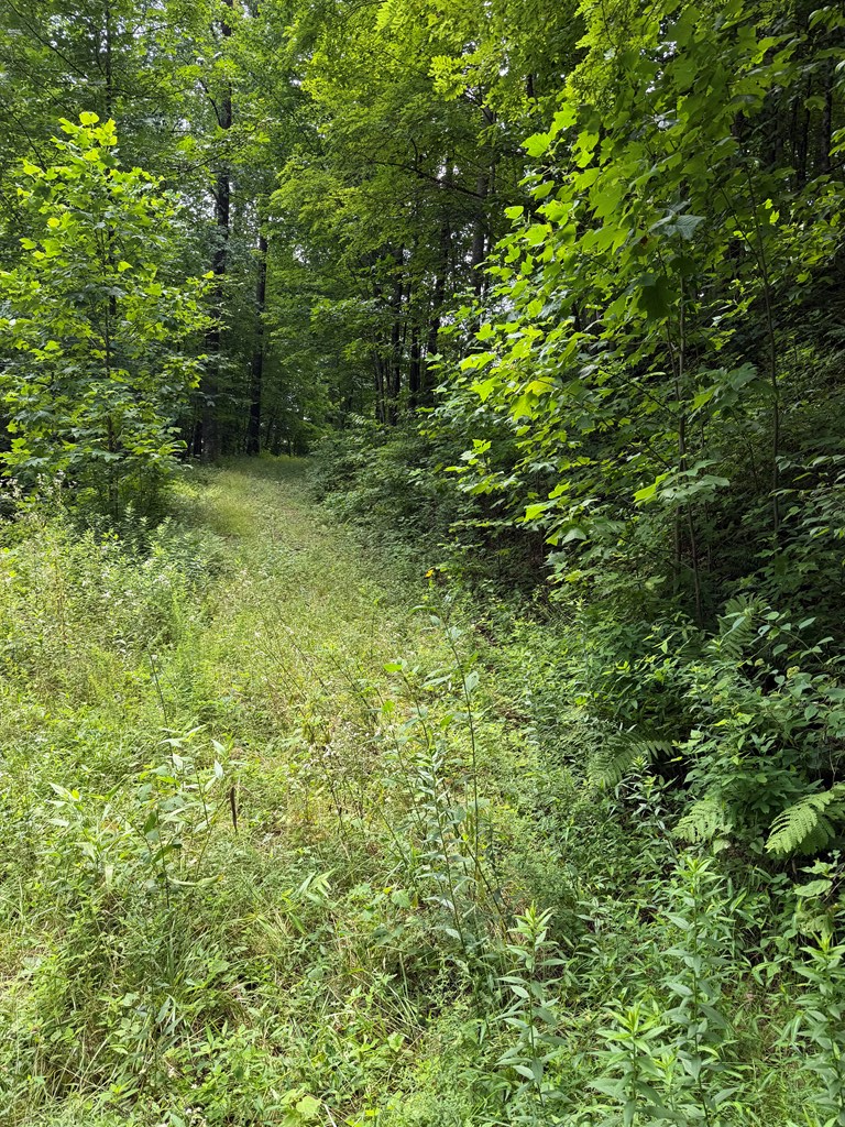 0 Outlook Road Murphy, NC 28906 - Photo 2 of 6