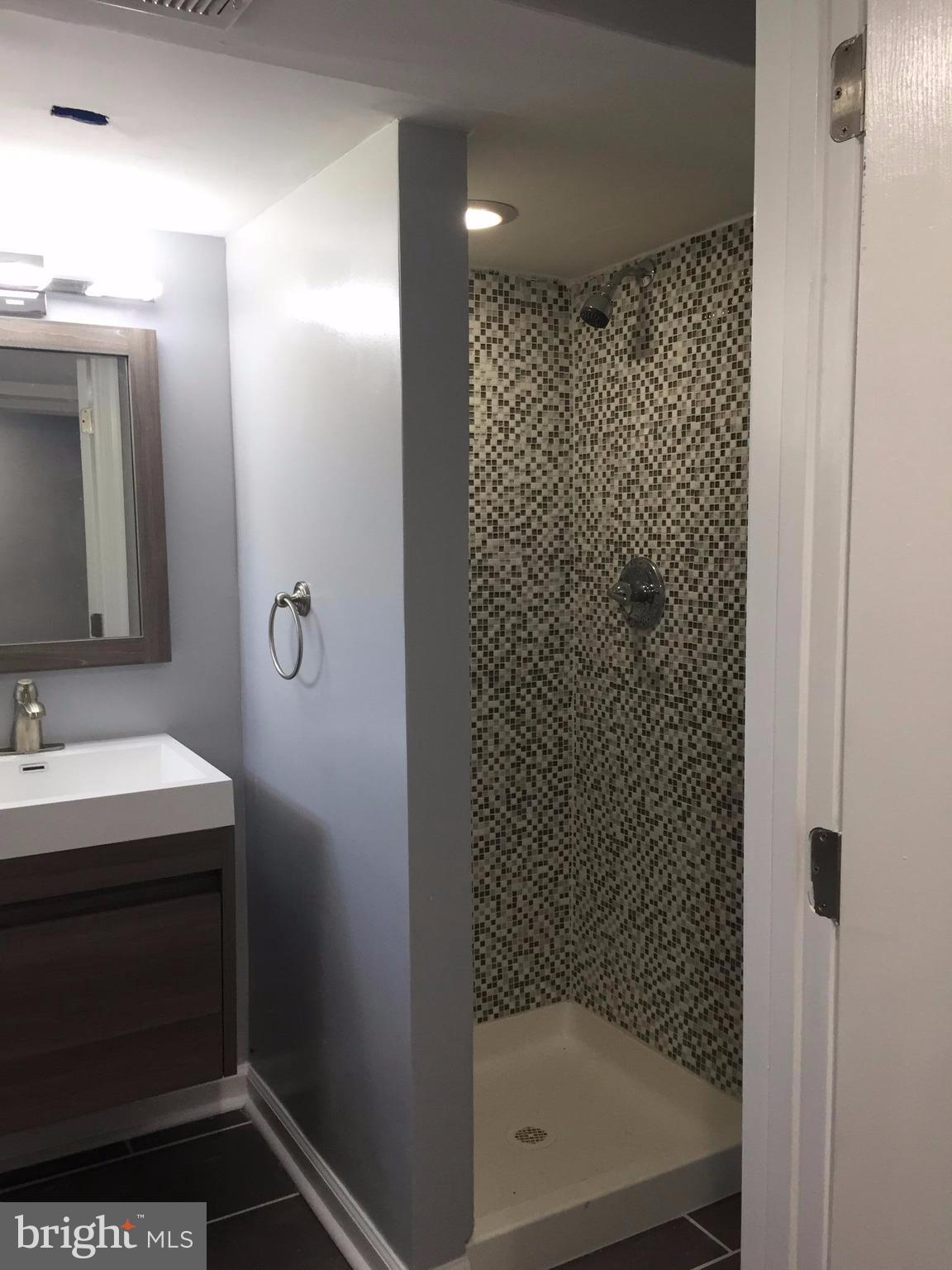 4524 Manorview Road Baltimore, MD 21229 - Photo 13 of 22 Bathroom -lower level